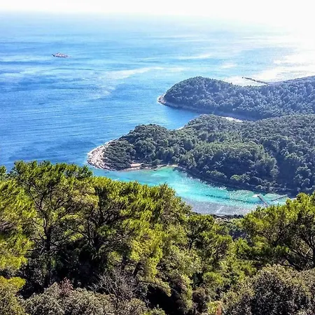 Authentic Ap For 2, Babino Polje,mljet