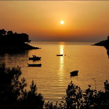 Authentic Ap For 2, Babino Polje,mljet Apartment Babino Polje