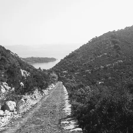 Authentic Ap For 2, Babino Polje,mljet *