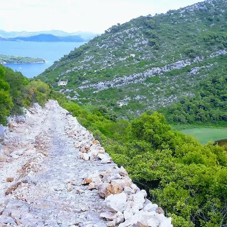 Authentic Ap For 2, Babino Polje,mljet * Babino Polje